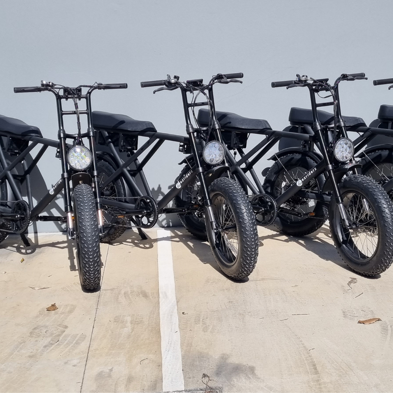 Sledz ebike fleet