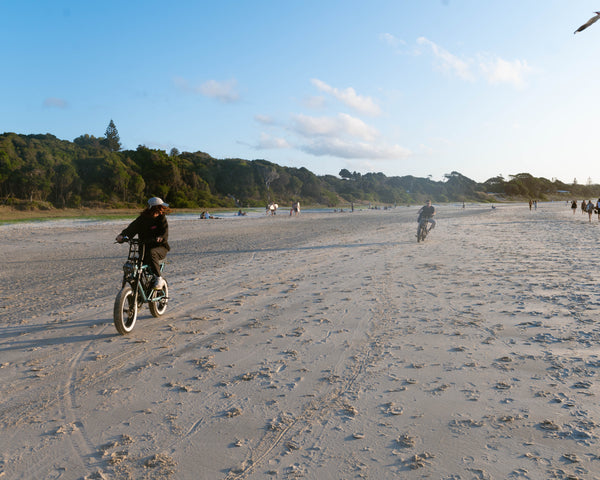 ezriderz sledz ebike 