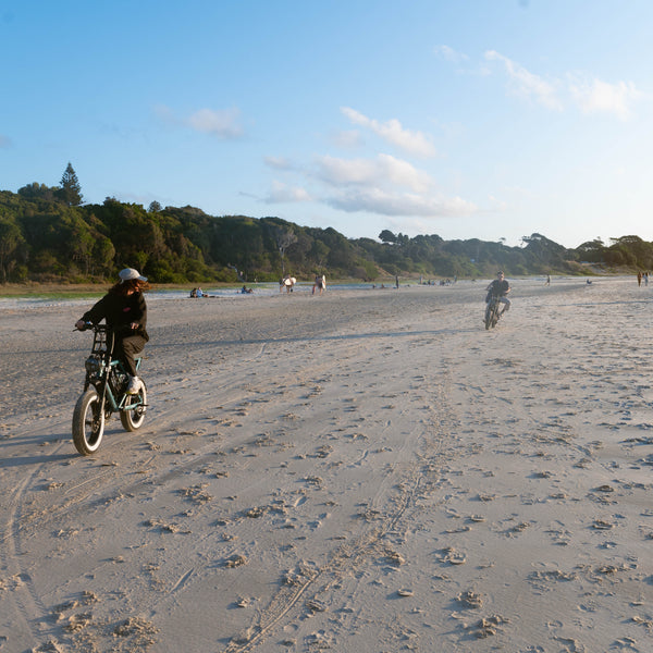 ezriderz sledz ebike 