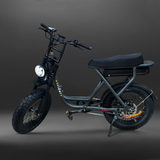 EZRIDERZ SLEDZ 52V_PRO EBIKE
