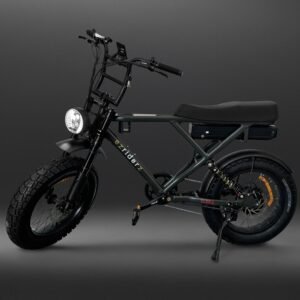 SLEDZ-PRO-52V-DUAL-SUSPENSION-EZRIDERZ